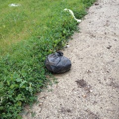 Sacchetti di rifiuti sulla provinciale Andria-Bisceglie