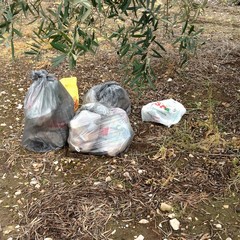 Sacchetti di rifiuti sulla provinciale Andria-Bisceglie