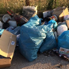 Rifiuti e bustoni Amiu scaricati a Boccadoro