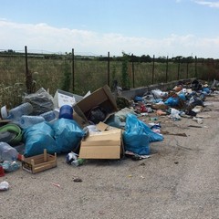 Rifiuti e bustoni Amiu scaricati a Boccadoro