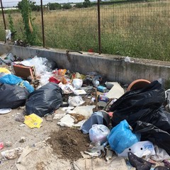 Rifiuti e bustoni Amiu scaricati a Boccadoro