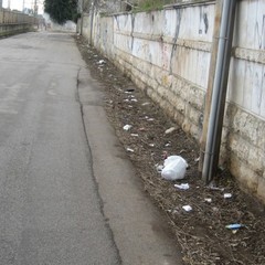 Rifiuti abbandonati per strada a Trani: le foto raccolte dall'associazione Leidaa