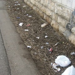 Rifiuti abbandonati per strada a Trani: le foto raccolte dall'associazione Leidaa