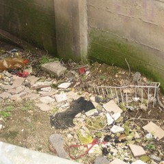 Rifiuti abbandonati per strada a Trani: le foto raccolte dall'associazione Leidaa