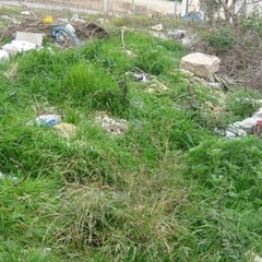 Rifiuti abbandonati per strada a Trani: le foto raccolte dall'associazione Leidaa