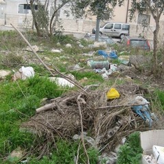 Rifiuti abbandonati per strada a Trani: le foto raccolte dall'associazione Leidaa