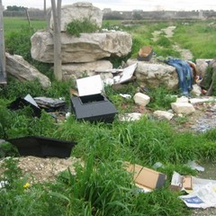 Rifiuti abbandonati per strada a Trani: le foto raccolte dall'associazione Leidaa