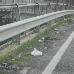 Rifiuti abbandonati per strada a Trani: le foto raccolte dall'associazione Leidaa