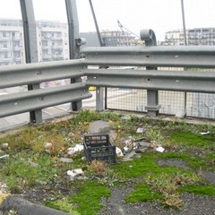Rifiuti abbandonati per strada a Trani: le foto raccolte dall'associazione Leidaa