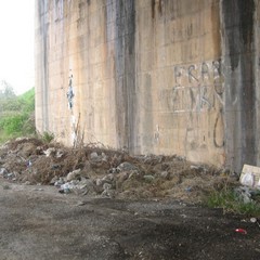 Rifiuti abbandonati per strada a Trani: le foto raccolte dall'associazione Leidaa