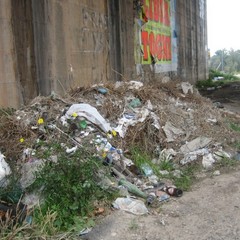 Rifiuti abbandonati per strada a Trani: le foto raccolte dall'associazione Leidaa
