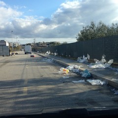 Rifiuti abbandonati dopo il mercato settimanale di Trani