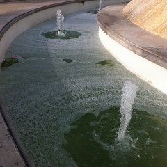 Schiuma nella fontana di piazza XX Settembre