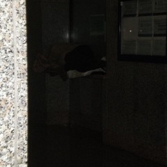 Senzatetto nella stazione di Trani