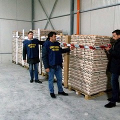 Sequestro di uova nella Bat