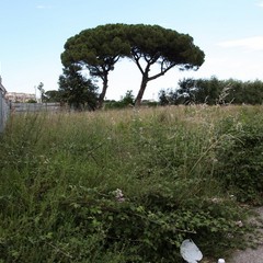 Blatte e topi: sopralluogo a Pozzopiano