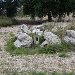 Blatte e topi: sopralluogo a Pozzopiano