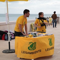 Spiagge e fondali puliti a Trani