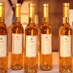 Trani International Festival, il pane protagonista in via San Giorgio