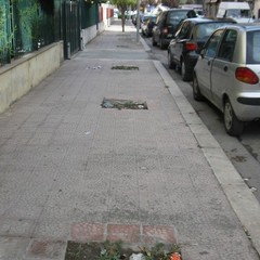 Situazione del verde pubblico a Pozzo Piano
