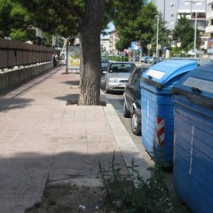 Situazione del verde pubblico a Pozzo Piano