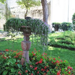 Villa di Trani in fiore 2013
