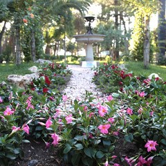 Villa di Trani in fiore 2013