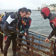 Operazione "fondali puliti" nel mare di Trani
