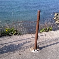 Degrado sul lungomare di Trani