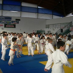 Judo Trani, nessuna medaglia al Campionato Italiano, successi alle Regionali