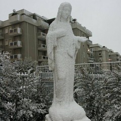 Neve a Trani 2014 - le foto di Mimmo Gramegna