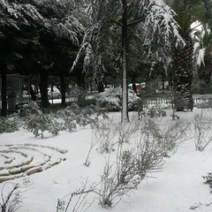 Neve a Trani 2014 - le foto di Mariella Bevilacqua