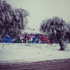 Neve a Trani 2014 - le foto di Stefania Ghio