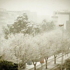 Neve a Trani 2014 - le foto di Antonella Musicco