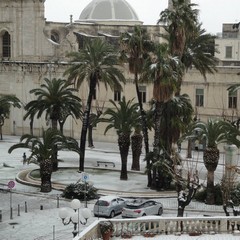 Neve a Trani 2014 - le foto di Stefania Porcelli