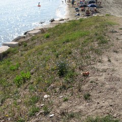 Green Bat, continua l'operazione Spiagge Pulite