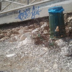 Turismo e dintorni, ecco come è ridotto il Lido Mongelli