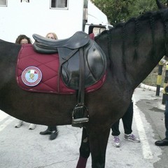 Anps - unità a cavallo