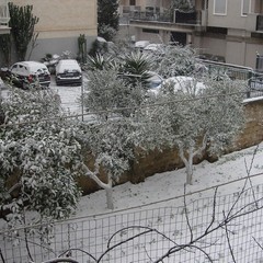 Neve a Trani 2014 - la foto di Benedetta Altamura