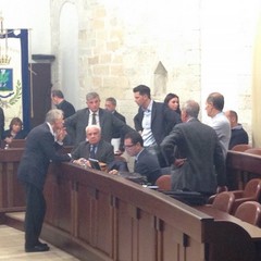 consiglio comunale tari