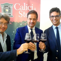 Conferenza di presentazione di "Calici di stelle 2014"