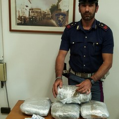 Arrestati due stranieri nell'agro di Trani