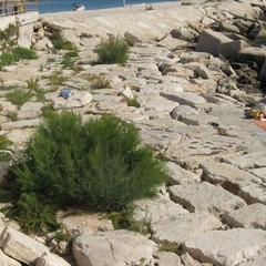 Green Bat, continua l'operazione Spiagge Pulite