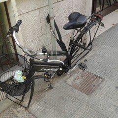 Sorpresi a rubare ruote di biciclette: arrestati due giovani tranesi