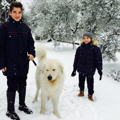 Neve a Trani 2014 - le foto di Francesco de Palma