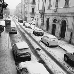 Neve a Trani 2014 - le foto di Francesco de Palma