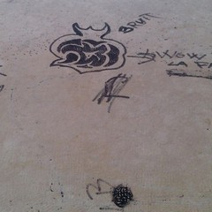 Atti vandalici sui muri della Sinagoga di Trani