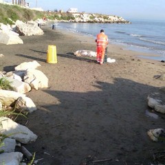 Immersione fatale, muore un sub 57enne tranese