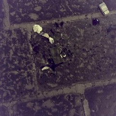 Rissa nella notte in via Zanardelli, un marocchino ferito grave