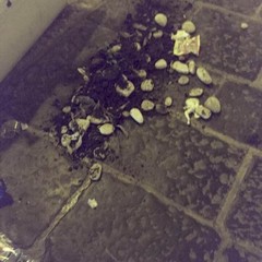 Rissa nella notte in via Zanardelli, un marocchino ferito grave